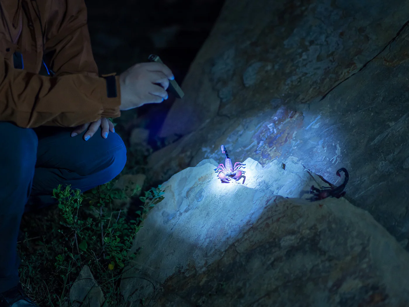 Olight Arkfeld Ultra - Image 9