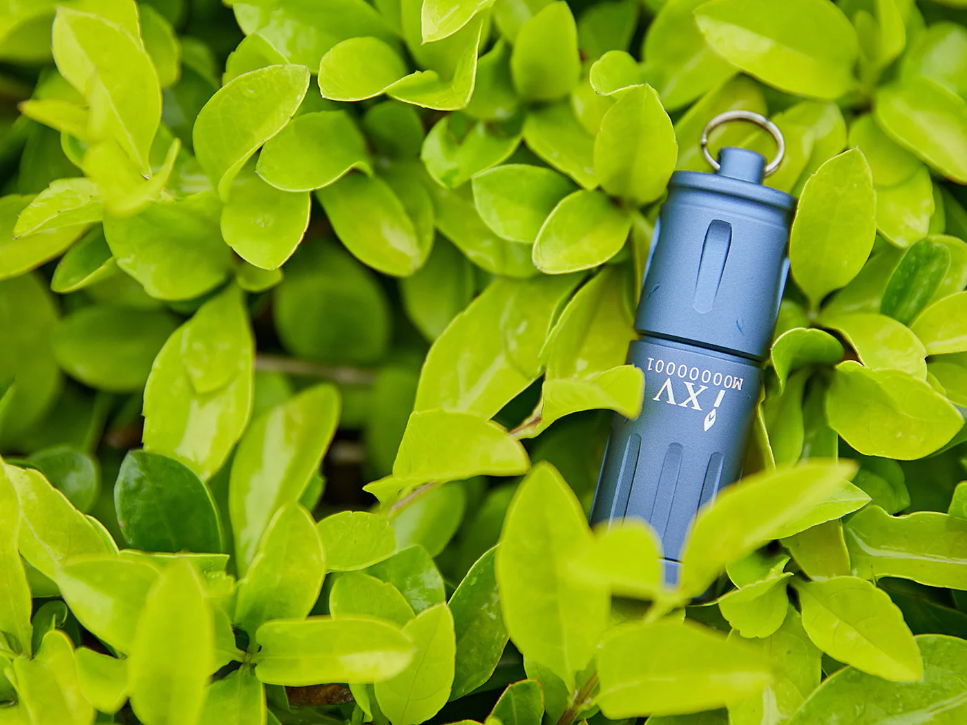 Olight IXV Coral Blue Limited Edition - Image 5